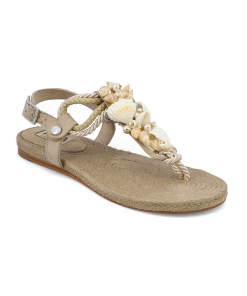 AGOYA - NATURAL SEASHELL