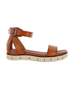 EMILIA - COGNAC